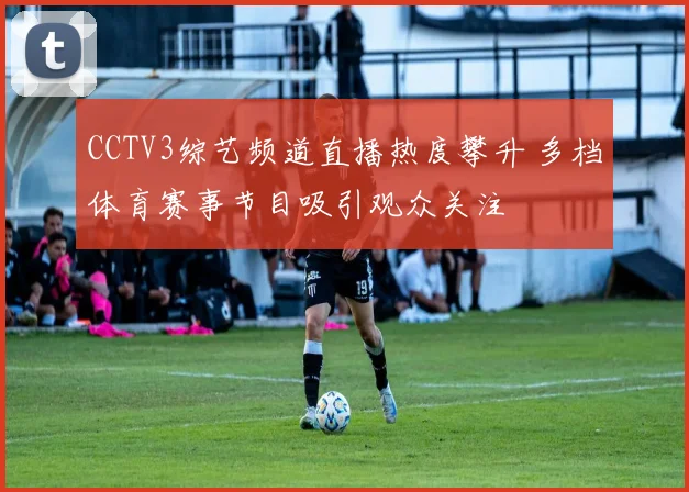 CCTV3综艺频道直播热度攀升 多档体育赛事节目吸引观众关注